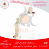 پایه بسکتبال عاج فیل (بسکتبال خیابانی)