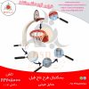 پایه بسکتبال عاج فیل (بسکتبال خیابانی)